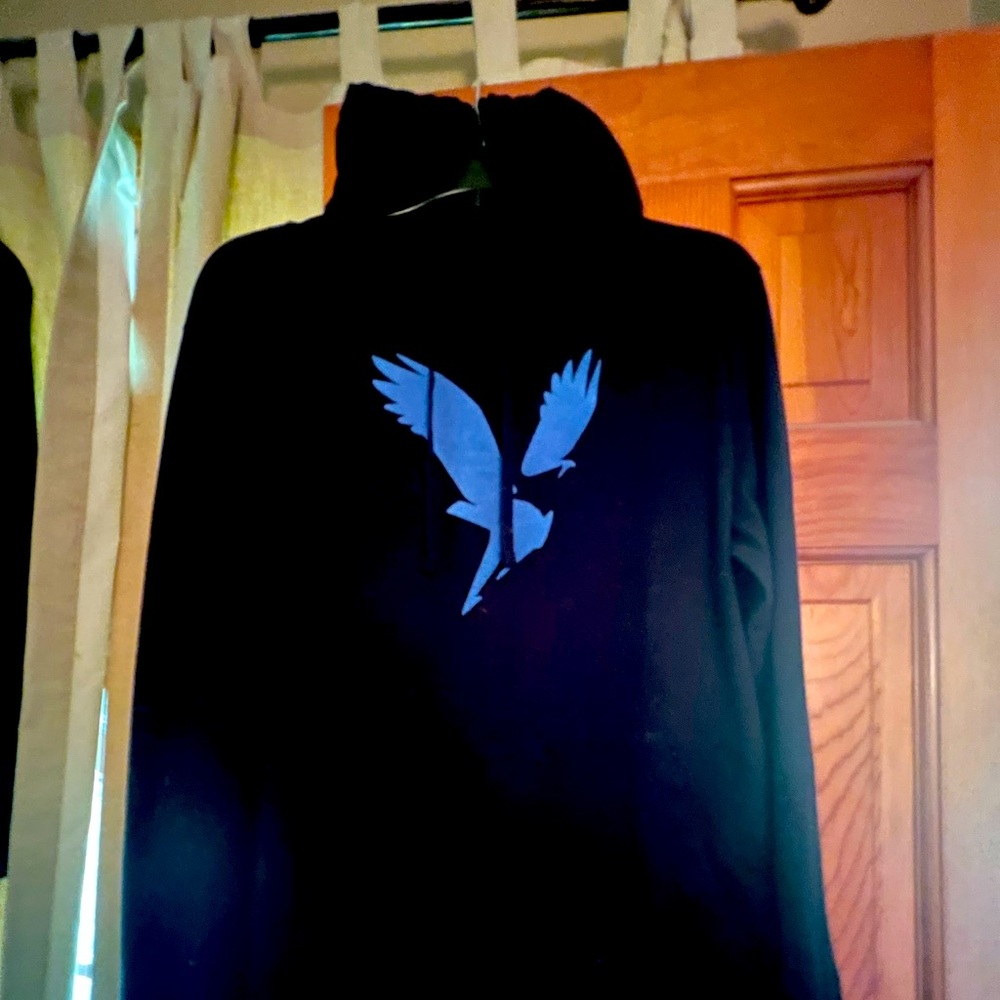 American Eagle Long Sleeve Hoodie
